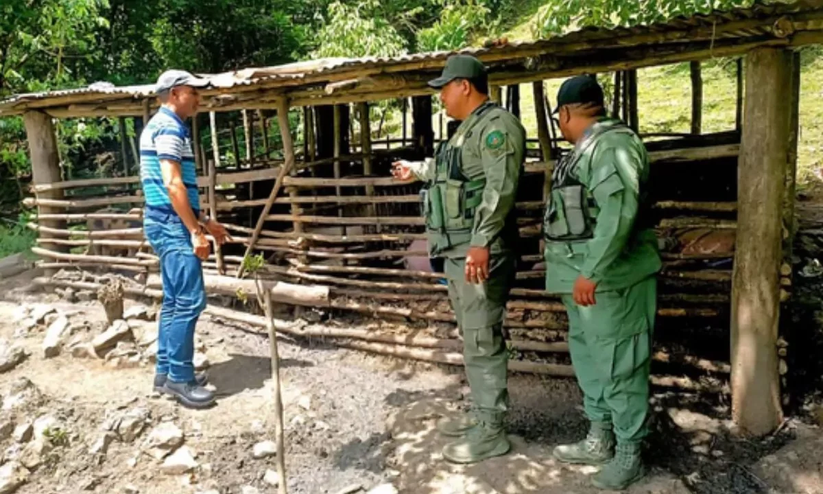 SENPA y Medio Ambiente clausuran criadero de cerdos ilegal de cerdos en La Vega