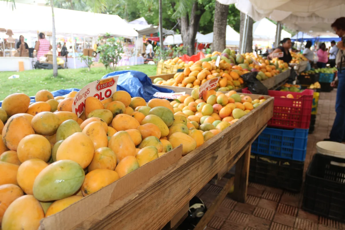 Cientos se dan cita para disfrutar de las bondades del mango, en la feria que se celebra en Baní